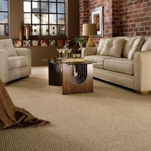 Living room carpet | House of Carpets and Lighting