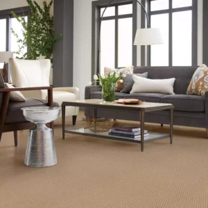 Living room carpet | House of Carpets and Lighting